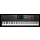 KORG Entertainer Keyboard PA5X-88 neu