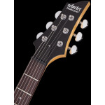 Schecter E-Gitarre C-6 Deluxe Satin Black SC430