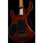 Sterling E-Gitarre Luke 100 Flame Marple Top Hazel Burst inkl. Tasche!